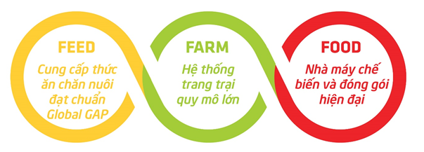 Giới thiệu<span> Công ty</span>