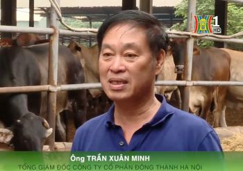 Chăn nuôi tuần hoàn